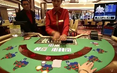 谈球吧app拼尽全力，一起创造传奇！